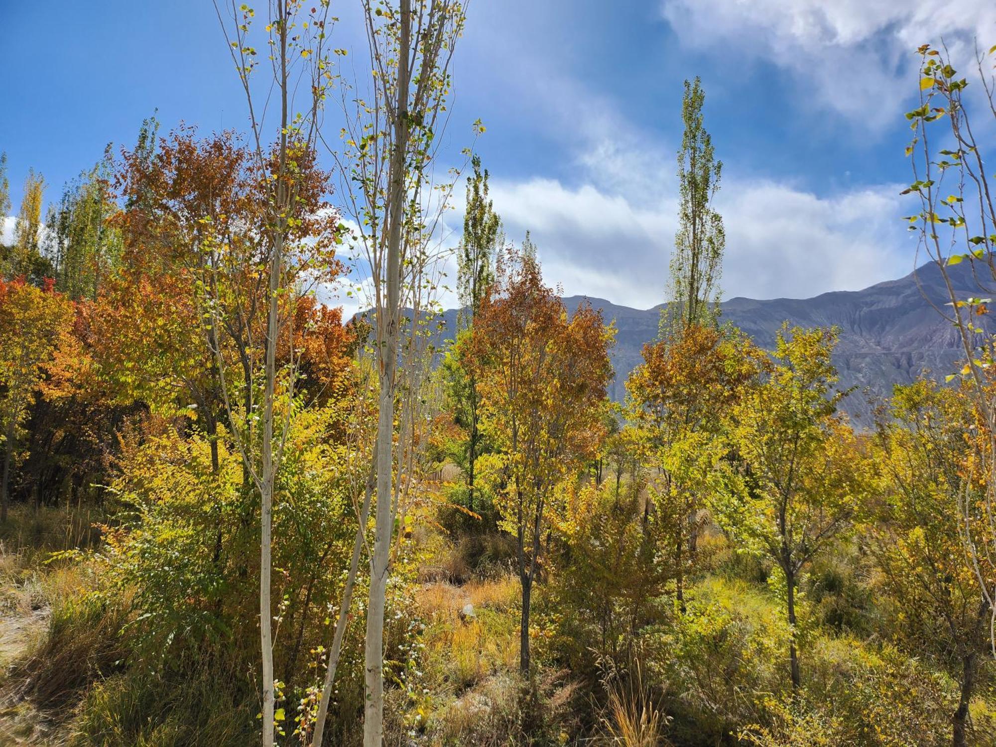 Lharimo Hotel Leh - Ladakh Екстер'єр фото