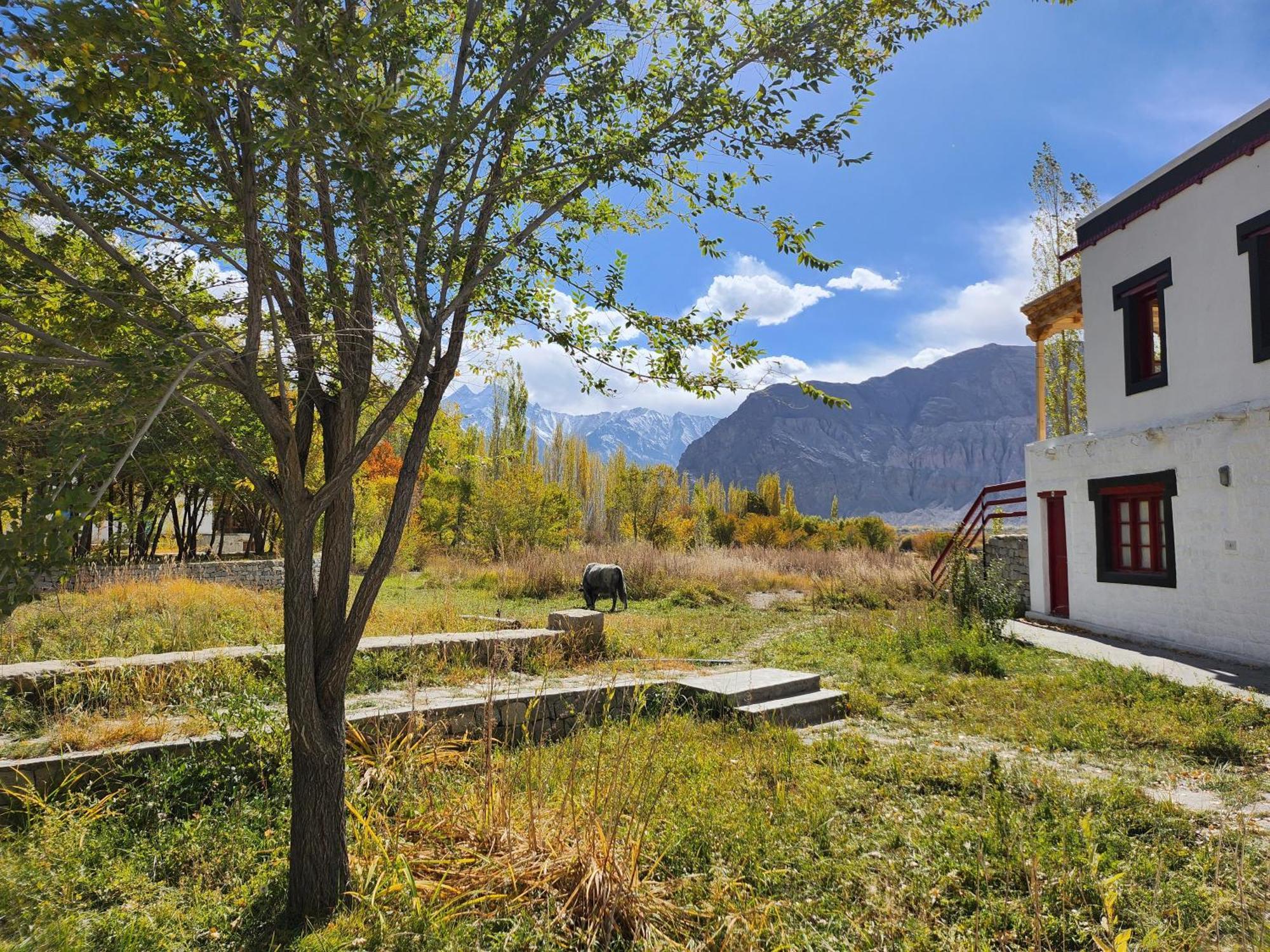 Lharimo Hotel Leh - Ladakh Екстер'єр фото