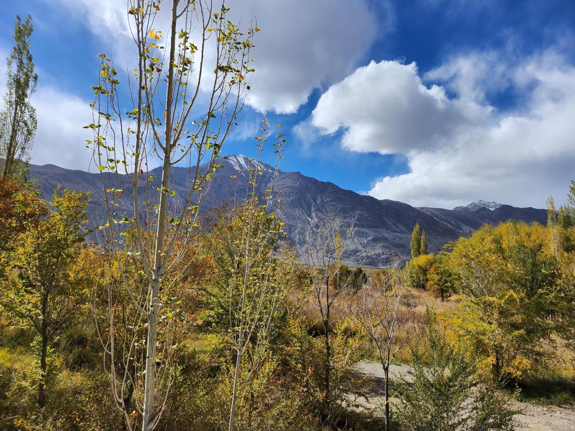 Lharimo Hotel Leh - Ladakh Екстер'єр фото