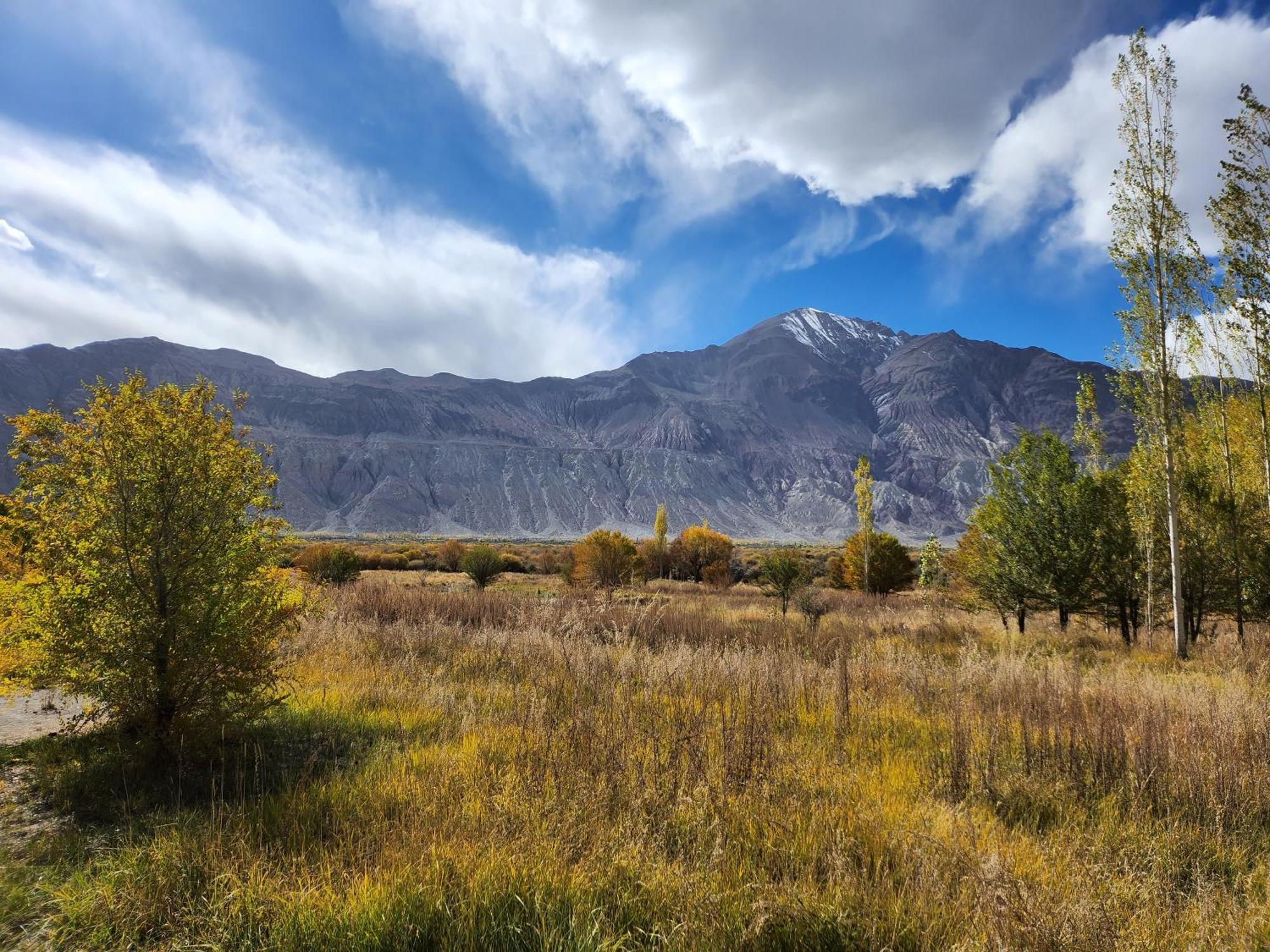 Lharimo Hotel Leh - Ladakh Екстер'єр фото