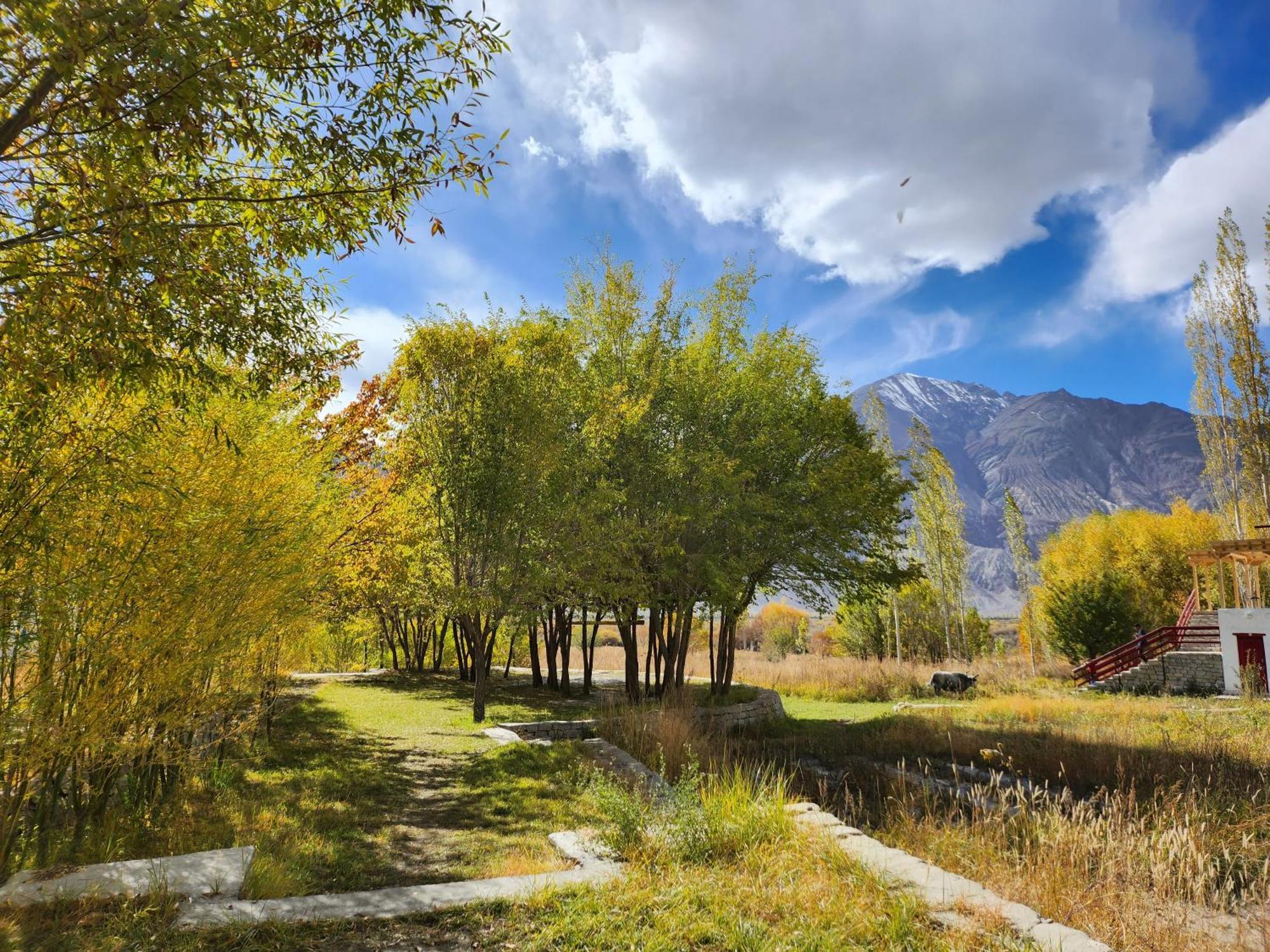 Lharimo Hotel Leh - Ladakh Екстер'єр фото