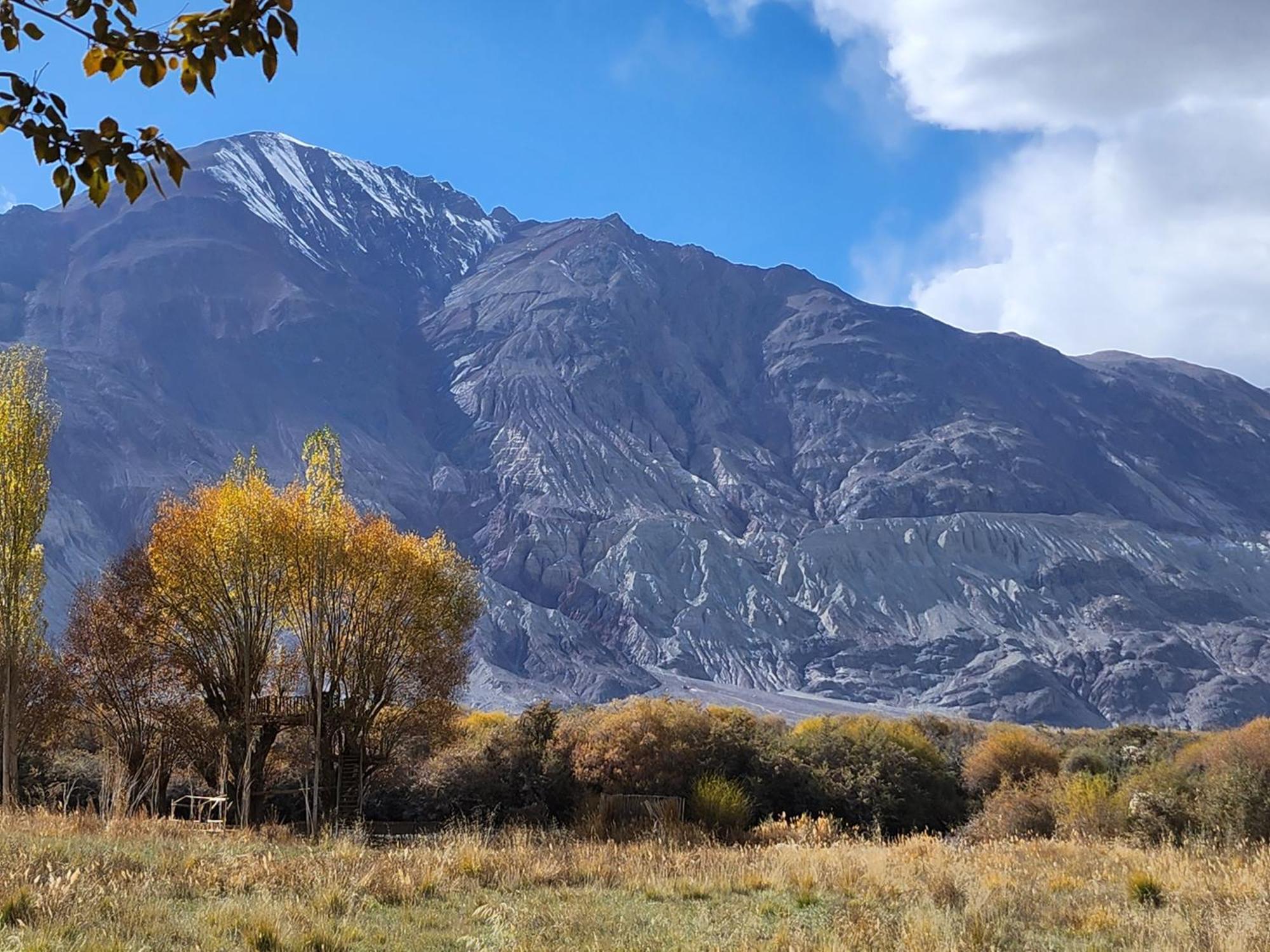 Lharimo Hotel Leh - Ladakh Екстер'єр фото