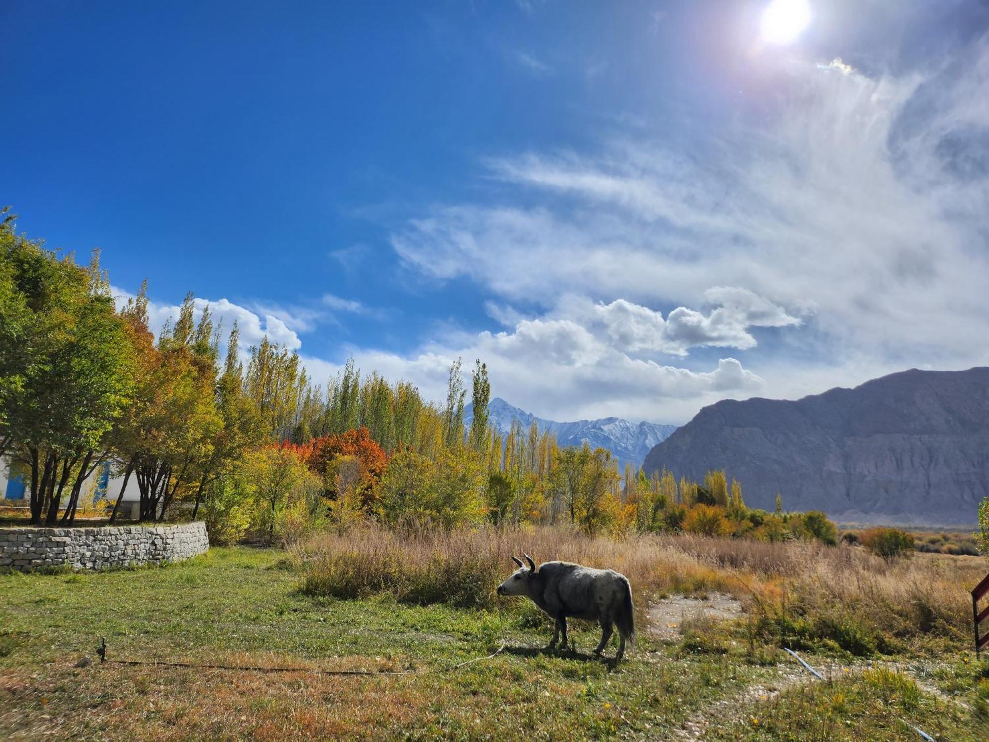 Lharimo Hotel Leh - Ladakh Екстер'єр фото