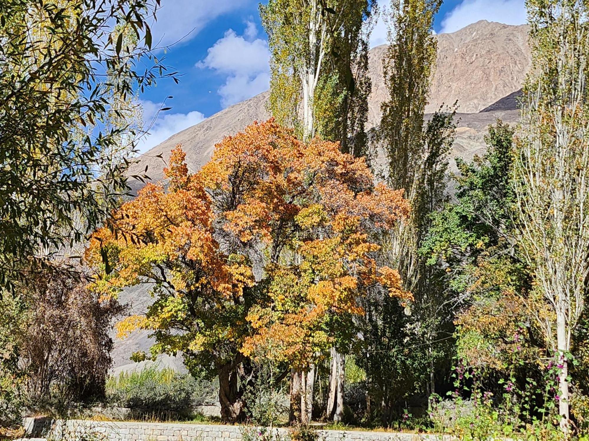 Lharimo Hotel Leh - Ladakh Екстер'єр фото