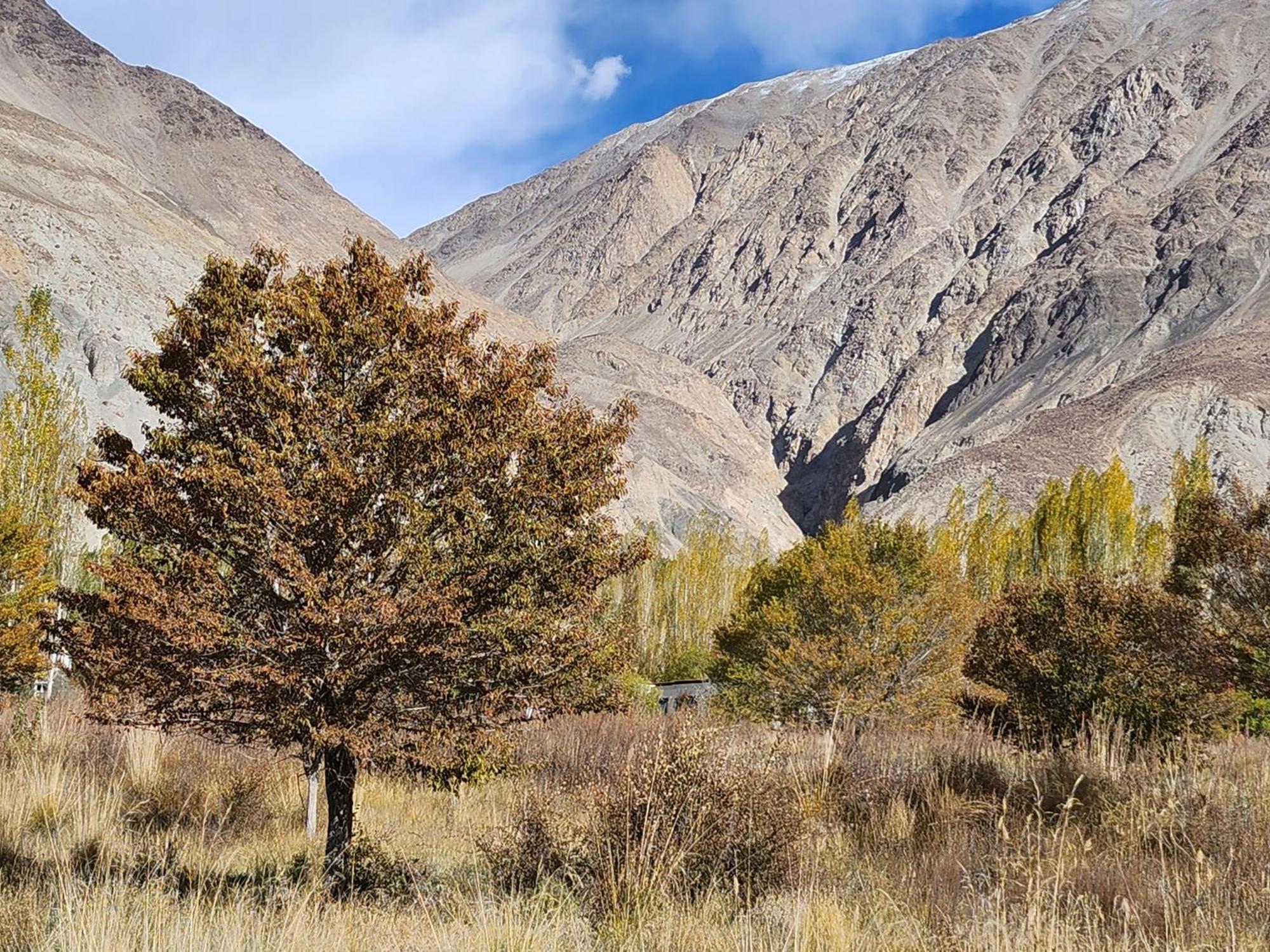 Lharimo Hotel Leh - Ladakh Екстер'єр фото