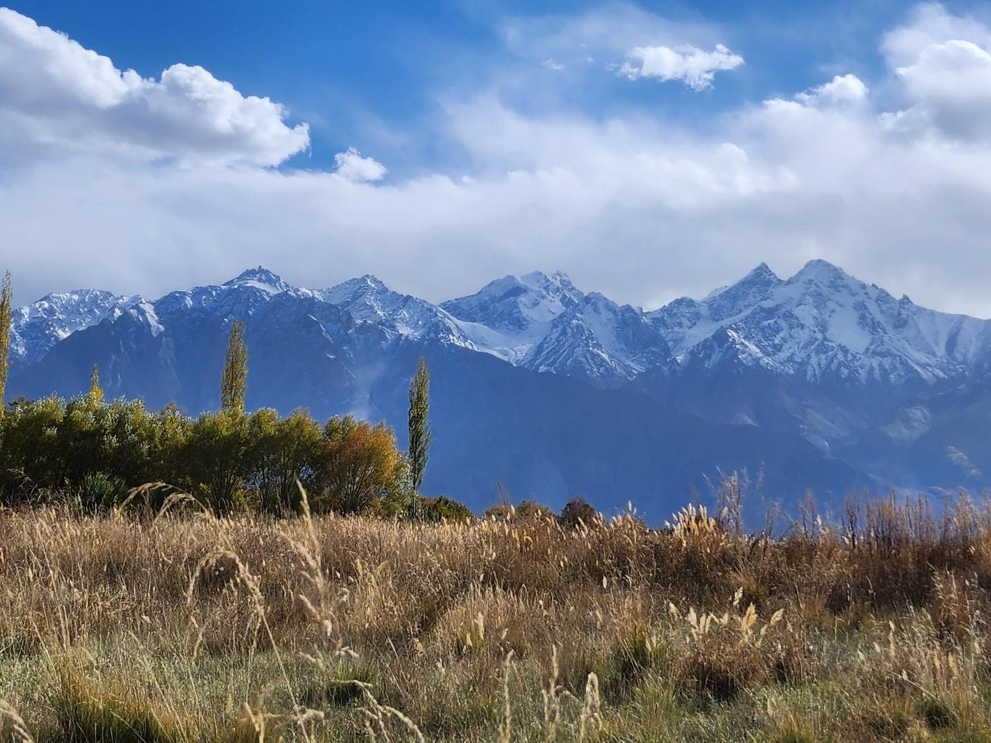 Lharimo Hotel Leh - Ladakh Екстер'єр фото